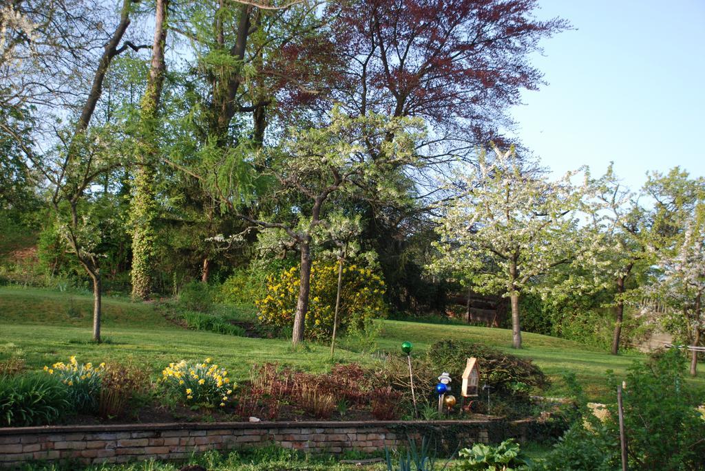 La Maison De Georges - Les Coquelicots Scharrachbergheim-Irmstett Oda fotoğraf