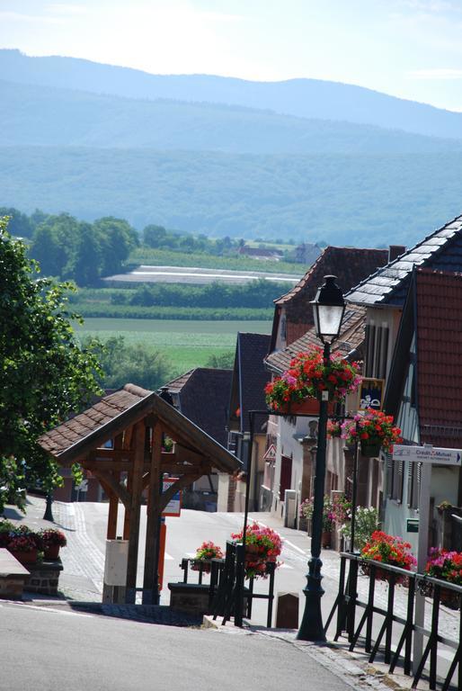 La Maison De Georges - Les Coquelicots Scharrachbergheim-Irmstett Oda fotoğraf